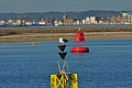 17 01 15_0338_edited-1